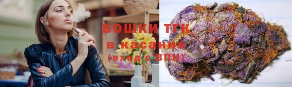 прущие грибы Волоколамск