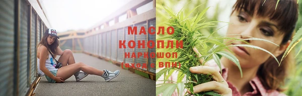 прущие грибы Волоколамск
