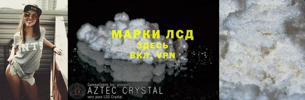прущие грибы Волоколамск