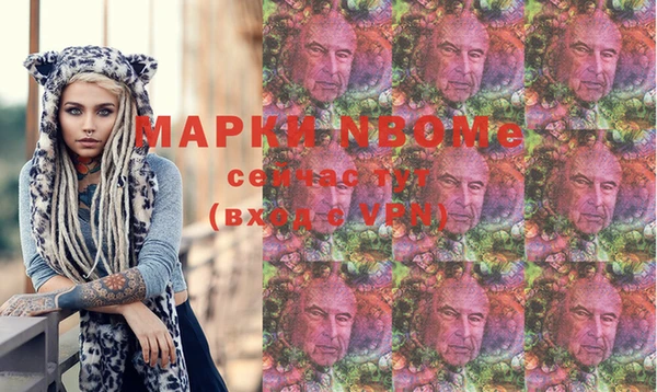 прущие грибы Волоколамск