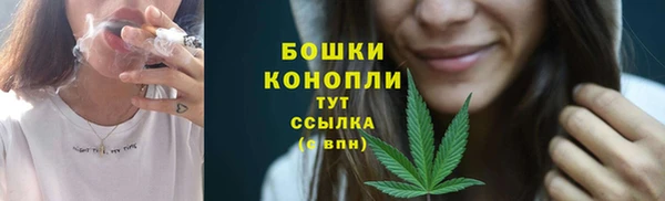 прущие грибы Волоколамск