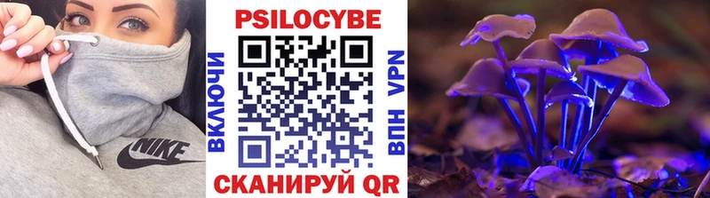 Галлюциногенные грибы прущие грибы  Вышний Волочёк 