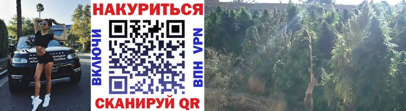 гидра сайт  Вышний Волочёк  Бошки Шишки гибрид 